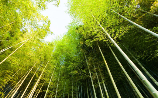 894175 (a): :2880x1800